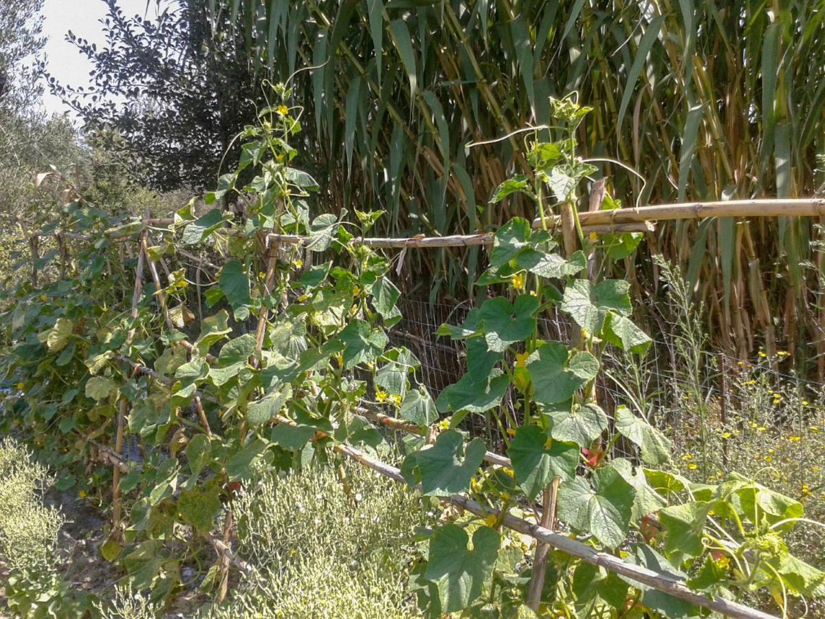 Вілла Aroggia Farm Xanthatai Екстер'єр фото
